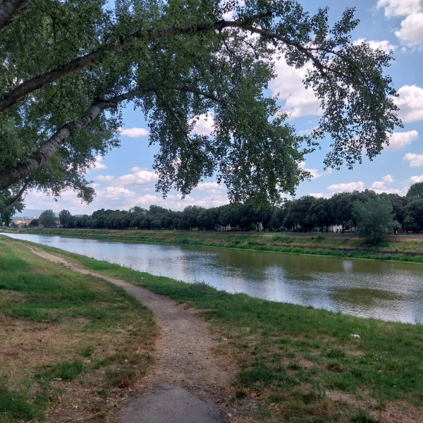 Arno