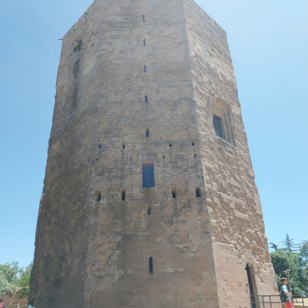La Torre di Federico