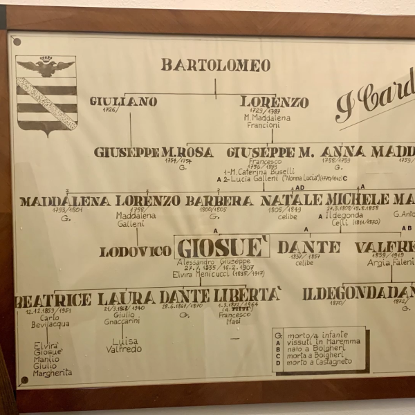 Esplorazione tattile delle formelle