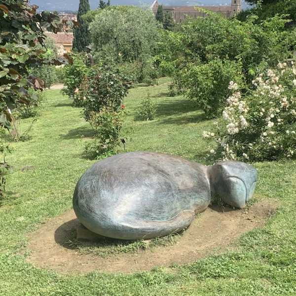 Passeggiata sul prato e incontro col gatto