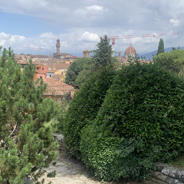 Un ultimo tocco alle rose e saluti