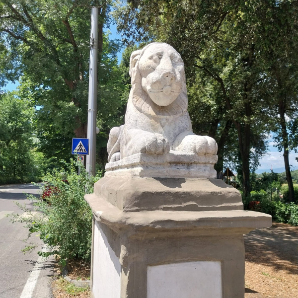 Le leonesse