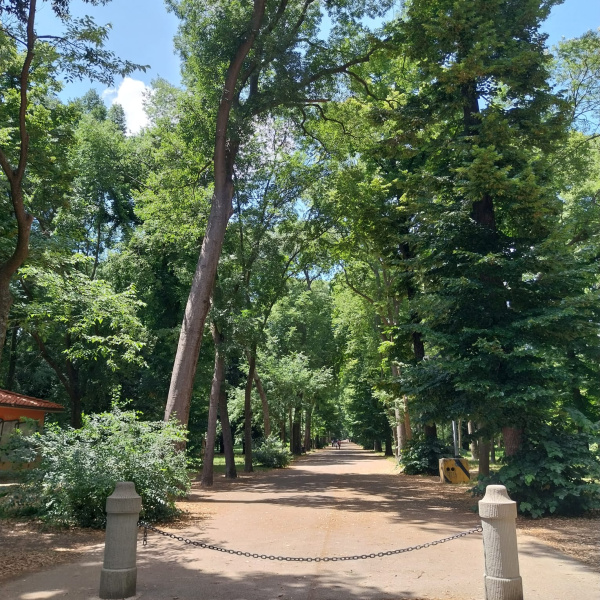 Il Viale della Catena