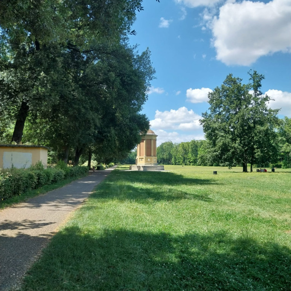 Pinocchio alle Cascine
